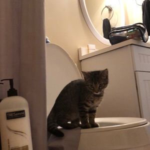 Meet your Posher, Bethany